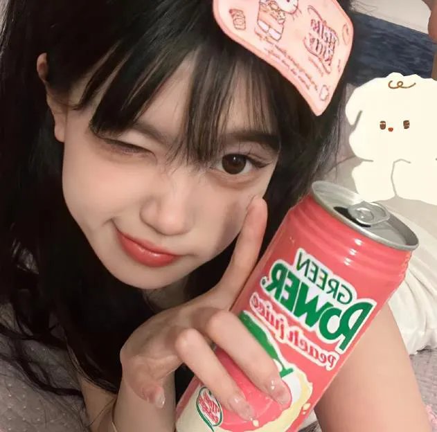 恋爱无法用双子除尽